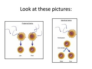 Look at these pictures:
 