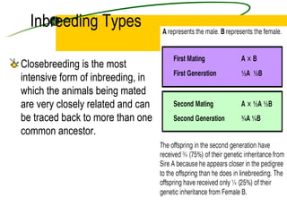 Reproductive technology | PPT