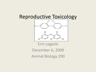 Reproductive Toxicology,[object Object],Erin Legacki,[object Object],December 6, 2009,[object Object],Animal Biology 290,[object Object]
