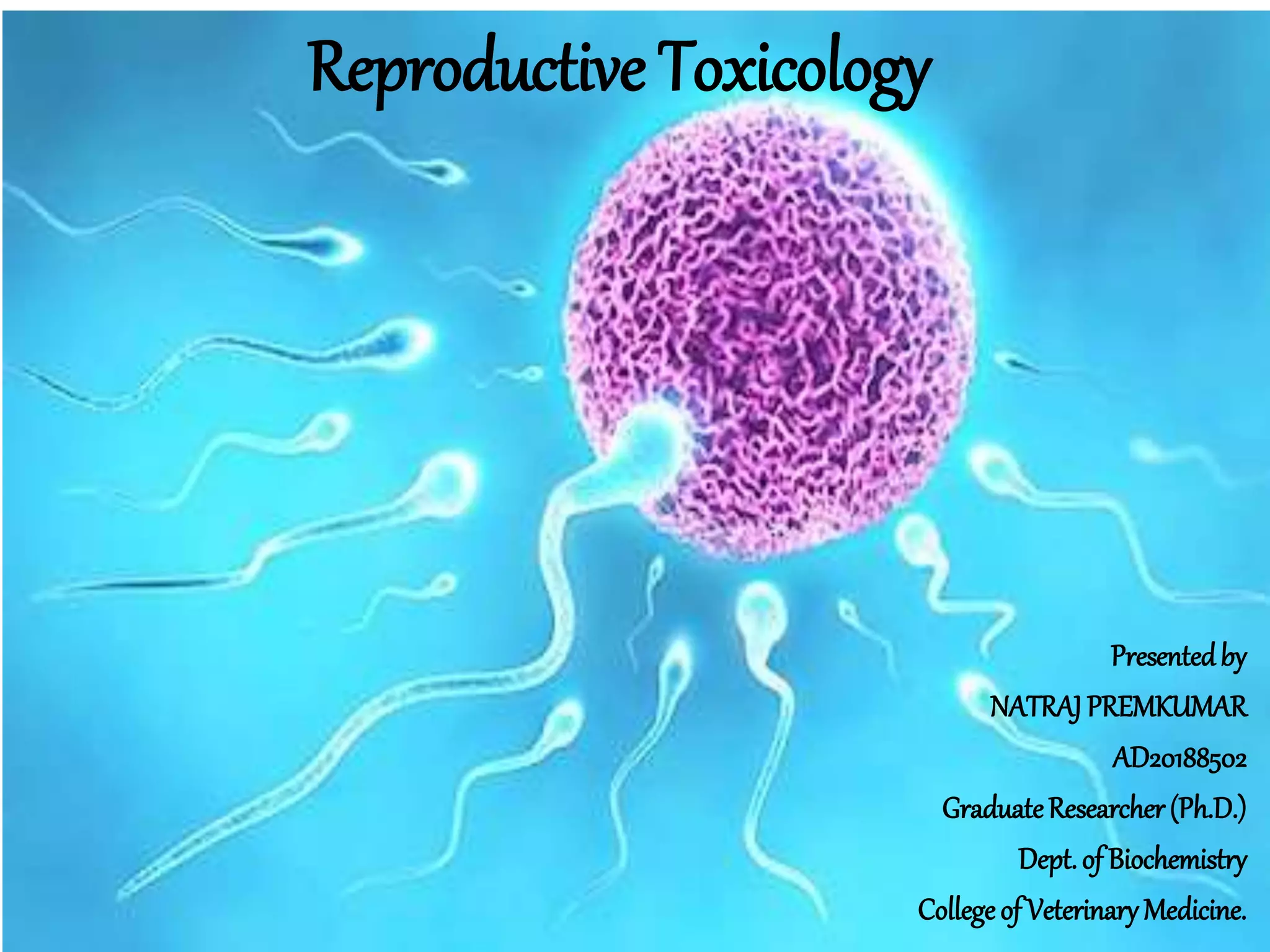 Reprotoxic Reproductive toxicology | PPTX