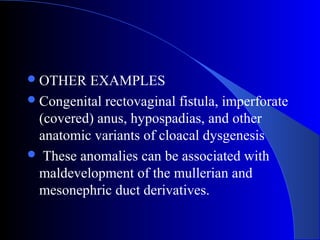 Reproductive tract anomalies | PPT