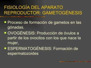 FISIOLOGÍA DEL APARATO
REPRODUCTOR: GAMETOGÉNESIS
   Proceso de formación de gametos en las
    gónadas.
   OVOGÉNESIS: Producción de óvulos a
    partir de los ovocitos con los que nace la
    mujer,
   ESPERMATOGÉNESIS: Formación de
    espermatozoides
 