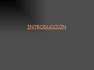 INTRODUCCIÓN
 