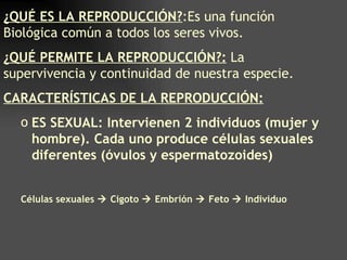 ¿QUÉ ES LA REPRODUCCIÓN?:Es una función
Biológica común a todos los seres vivos.
¿QUÉ PERMITE LA REPRODUCCIÓN?: La
supervivencia y continuidad de nuestra especie.
CARACTERÍSTICAS DE LA REPRODUCCIÓN:
  o ES SEXUAL: Intervienen 2 individuos (mujer y
    hombre). Cada uno produce células sexuales
    diferentes (óvulos y espermatozoides)


  Células sexuales  Cigoto  Embrión  Feto  Individuo
 