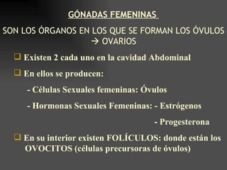 GÓNADAS FEMENINAS
SON LOS ÓRGANOS EN LOS QUE SE FORMAN LOS ÓVULOS
                   OVARIOS
   Existen 2 cada uno en la cavidad Abdominal
   En ellos se producen:
     - Células Sexuales femeninas: Óvulos
     - Hormonas Sexuales Femeninas: - Estrógenos
                                     - Progesterona
   En su interior existen FOLÍCULOS: donde están los
    OVOCITOS (células precursoras de óvulos)
 