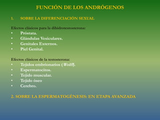 ESTRUCTURA QUÍMICA DE LOS ANDRÓGENOS