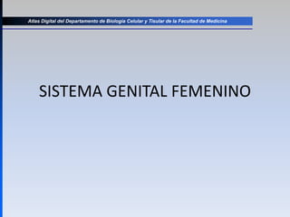 SISTEMA GENITAL FEMENINO
Atlas Digital del Departamento de Biología Celular y Tisular de la Facultad de Medicina
 