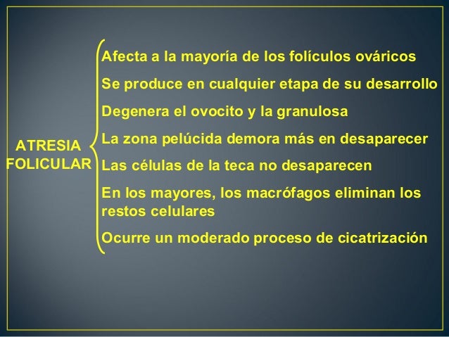 Que arreglar de la persona de la mancha de los granos sobre la persona