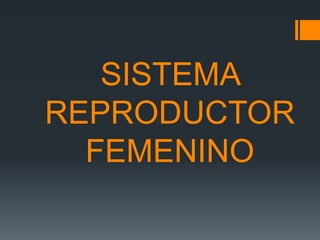SISTEMA
REPRODUCTOR
FEMENINO

 