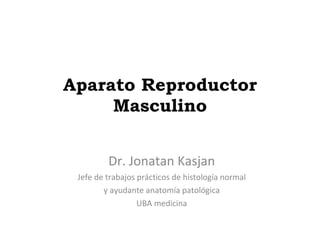 Aparato Reproductor Masculino Dr. Jonatan Kasjan Jefe de trabajos prácticos de histología normal y ayudante anatomía patológica  UBA medicina 