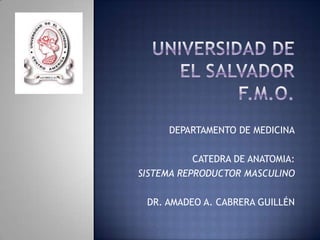 DEPARTAMENTO DE MEDICINA

           CATEDRA DE ANATOMIA:
SISTEMA REPRODUCTOR MASCULINO

 DR. AMADEO A. CABRERA GUILLÉN
 