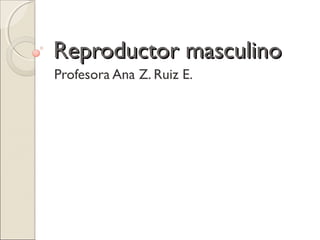 Reproductor masculinoReproductor masculino
Profesora Ana Z. Ruiz E.
 