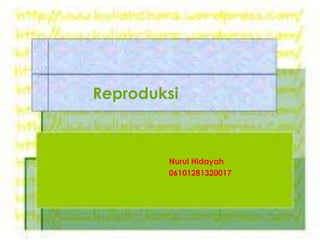 Reproduksi
Nurul Hidayah
06101281320017
 