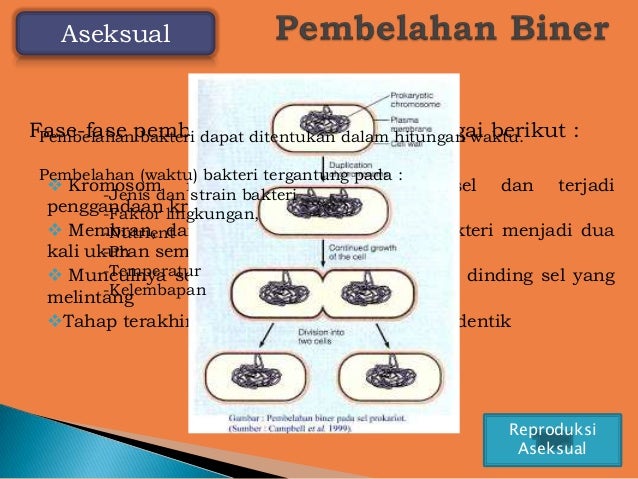 Berdagang biner 5 menit