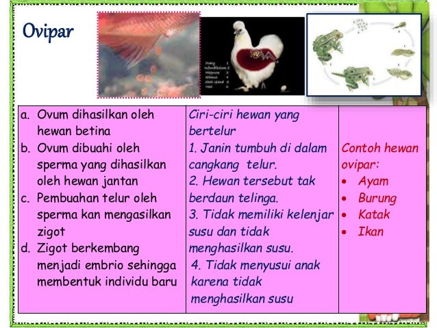 Ciri makhluk hidup Reproduksi generatif