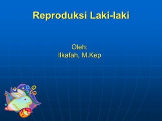 Reproduksi Laki-laki
Oleh:
Ilkafah, M.Kep
 