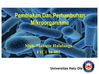 Muh. Mahatir Halulanga
F1C1 16 082
Pembiakan Dan Pertumbuhan
Mikroorganisme
Universitas Halu Oleo
 