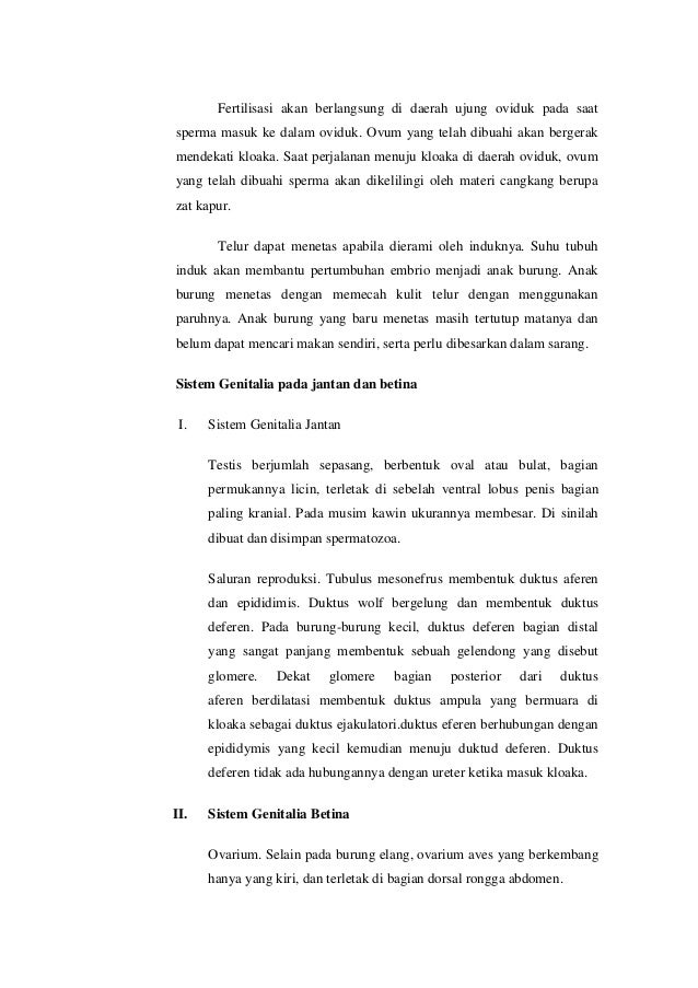 Reproduksi Pada Hewan Vertebrata Smtnoredir 1