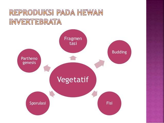  Reproduksi  Hewan 