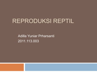 REPRODUKSI REPTIL
Adilla Yuniar Prharsanti
2011.113.003
 