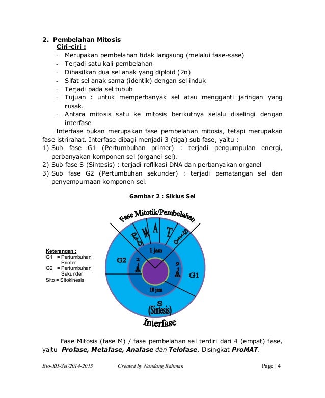 Dengan Konsep Dna Jelaskan Mengapa Pembelahan Sel Selalu