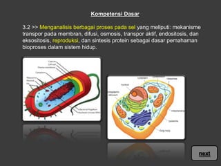 Kompetensi Dasar
3.2 >> Menganalisis berbagai proses pada sel yang meliputi: mekanisme
transpor pada membran, difusi, osmosis, transpor aktif, endositosis, dan
eksositosis, reproduksi, dan sintesis protein sebagai dasar pemahaman
bioproses dalam sistem hidup.

next

 