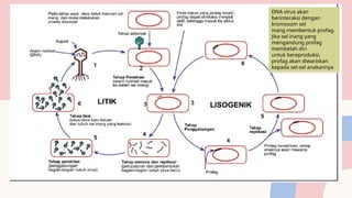 Sel Inang Reproduksi Virus- Materi Biologi kelas 10 SMA | PPTX