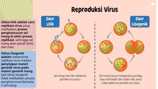 Sel Inang Reproduksi Virus- Materi Biologi kelas 10 SMA | PPTX