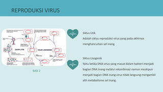 Sel Inang cara virus berkembangbiak reproduksi virus | PPTX