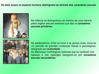 Os dois sexos na espécie humana distinguem-se através dos  caracteres sexuais Na infância só distinguimos um menino de uma menina pelos órgãos sexuais externos que são os  caracteres sexuais primários. Na adolescência, entre os nove e os quinze anos, inicia-se um período de grandes mudanças físicas e psicológicas, designado por  puberdade . As diferenças morfológicas externas que se verificam nos  rapazes e nas raparigas designam-se por  caracteres   sexuais secundários . 
