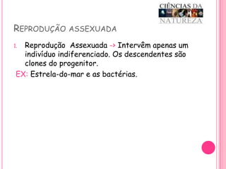 Reprodução assexuada Reprodução  Assexuada -> Intervêm apenas um indivíduo indiferenciado. Os descendentes são clones do progenitor.EX: Estrela-do-mar e as bactérias.