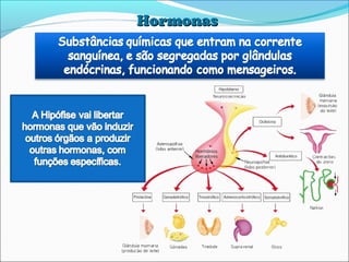 HormonasHormonas
 