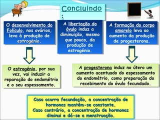 Concluindo
:
Concluindo
:
O desenvolvimento do
Folículo, nos ovários,
leva à produção de
estrogénioestrogénio.
O desenvolvimento do
Folículo, nos ovários,
leva à produção de
estrogénioestrogénio.
O estrogénio, por sua
vez, vai induzir a
reparação do endométrio
e o seu espessamento.
O estrogénio, por sua
vez, vai induzir a
reparação do endométrio
e o seu espessamento.
A libertação do
óvulo induz a
diminuição, mesmo
que pouco, da
produção de
estrogénio.
A libertação do
óvulo induz a
diminuição, mesmo
que pouco, da
produção de
estrogénio.
A formação do corpo
amarelo leva ao
aumento da produção
de progesterona.
A formação do corpo
amarelo leva ao
aumento da produção
de progesterona.
A progesterona induz no útero um
aumento acentuado do espessamento
do endométrio, como preparação do
recebimento do óvulo fecundado.
A progesterona induz no útero um
aumento acentuado do espessamento
do endométrio, como preparação do
recebimento do óvulo fecundado.
Caso ocorra fecundação, a concentração deCaso ocorra fecundação, a concentração de
hormonas mantém-se constante.hormonas mantém-se constante.
Caso contrário, a concentração de hormonasCaso contrário, a concentração de hormonas
diminui e dá-se a menstruação.diminui e dá-se a menstruação.
 