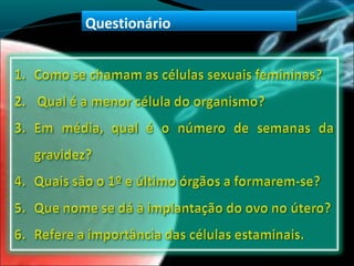 Questionário
 