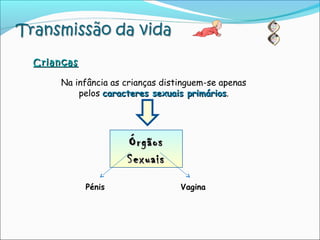 CriançasCrianças
Na infância as crianças distinguem-se apenas
pelos caracteres sexuais primárioscaracteres sexuais primários.
ÓrgãosÓrgãos
SexuaisSexuais
Pénis Vagina
 
