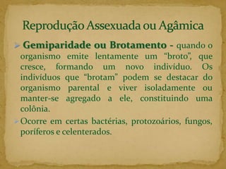 Ocorre em bactérias, fungos, algas e protozoários.Reprodução Assexuada ou Agâmica.