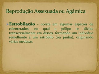  Gemiparidade ou Brotamento - quando o organismo emite lentamente um “broto”, que cresce, formando um novo indivíduo. Os indivíduos que “brotam” podem se destacar do organismo parental e viver isoladamente ou manter-se agregado a ele, constituindo uma colônia.
