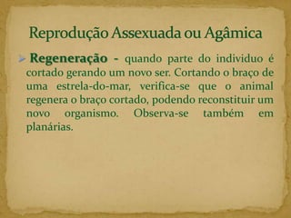 Gemiparidade ou Brotamento