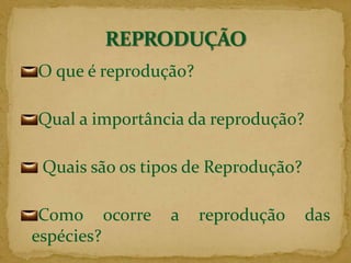 O que é reprodução?Qual a importância da reprodução? Quais são os tipos de Reprodução?Como ocorre a reprodução das espécies?REPRODUÇÃO