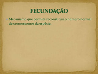 Quais são as desvantagens?Reprodução Assexuada ou Agâmica