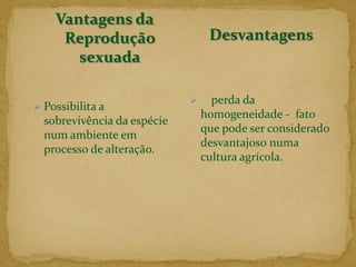 Uma célula diploide (2n) origina quatro células haploides (n), sendo comum a ocorrência de crossig-overou permutação.MEIOSE