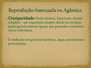 Cissiparidade(fissão binária, bipartição, divisão simples) – um organismo simples divide-se em duas partes geneticamente iguais, que passarão a constituir novos indivíduos. 