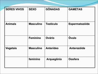 SERES VIVOS SEXO GÔNADAS GAMETAS Animais Masculino Testículo Espermatozóide Feminino Ovário  Óvulo Vegetais Masculino Anterídeo   Anterozóide feminino   Arquegônio Oosfera   