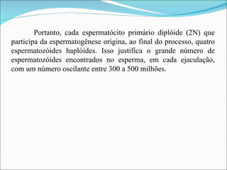 Portanto, cada espermatócito primário diplóide (2N) que participa da espermatogênese origina, ao final do processo, quatro espermatozóides haplóides. Isso justifica o grande número de espermatozóides encontrados no esperma, em cada ejaculação, com um número oscilante entre 300 a 500 milhões.  