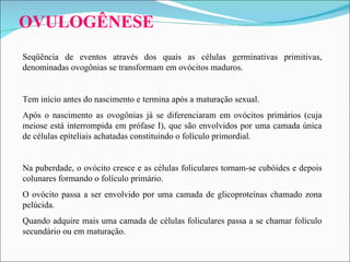 OVULOGÊNESE   Seqüência de eventos através dos quais as células germinativas primitivas, denominadas ovogônias se transformam em ovócitos maduros.  Tem início antes do nascimento e termina após a maturação sexual. Após o nascimento as ovogônias já se diferenciaram em ovócitos primários (cuja meiose está interrompida em prófase I), que são envolvidos por uma camada única de células epiteliais achatadas constituindo o folículo primordial .   Na puberdade, o ovócito cresce e as células foliculares tornam-se cubóides e depois colunares formando o folículo primário.  O ovócito passa a ser envolvido por uma camada de glicoproteínas chamado zona pelúcida.  Quando adquire mais uma camada de células foliculares passa a se chamar folículo secundário ou em maturação. 