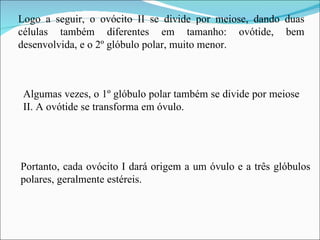 Portanto, cada ovócito I dará origem a um óvulo e a três glóbulos polares, geralmente estéreis.  Algumas vezes, o 1º glóbulo polar também se divide por meiose II. A ovótide se transforma em óvulo.  Logo a seguir, o ovócito II se divide por meiose, dando duas células também diferentes em tamanho: ovótide, bem desenvolvida, e o 2º glóbulo polar, muito menor.  