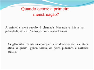 As glândulas mamárias começam a se desenvolver, a cintura afina, o quadril ganha forma, os pêlos pubianos e axilares cre scem.  Quando ocorre a primeira  menstruação? A primeira menstruação é chamada Menarca e inicia na puberdade, de 9 a 16 anos, em média aos 13 anos. 