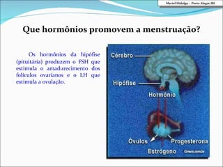 Os hormônios da hipófise (pituitária) produzem o FSH que estimula o amadurecimento dos folículos ovarianos e o LH que estimula a ovulação. Que hormônios promovem a menstruação? Mariel Hidalgo -  Porto Alegre/RS 