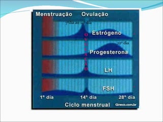 7ºdia ao 14º dia * * O VU L A Ç Ã O * * 22º dia 