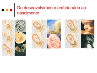 Do desenvolvimento embrionário ao
nascimento
 